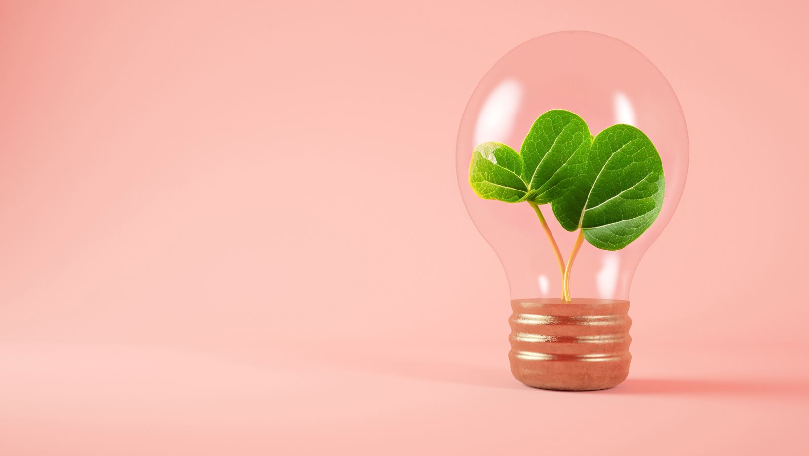 Quelle ampoule choisir pour mon luminaire ?